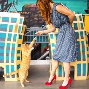 Betabrand Pet Lovers paw print dress XL  navy & white fit n flare